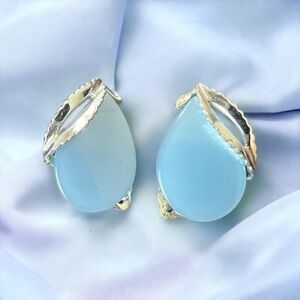 Vintage Thermoset Lucite Clip-on Earrings in a Lovely Silver-tone Settings EUC